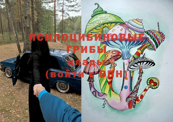 PSILOCYBIN Алзамай