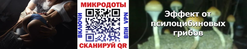 Псилоцибиновые грибы мухоморы Шилка