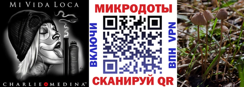 Псилоцибиновые грибы ЛСД  ссылка на мегу рабочий сайт  Шилка 